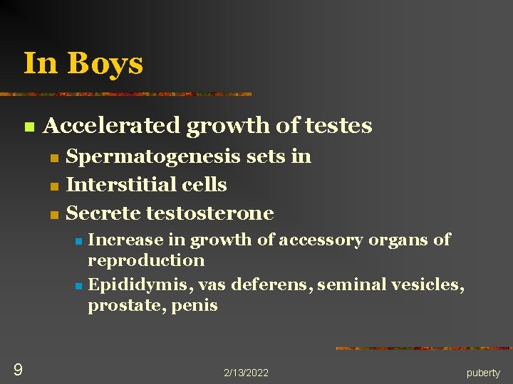 In Boys n Accelerated growth of testes n n n Spermatogenesis sets in Interstitial