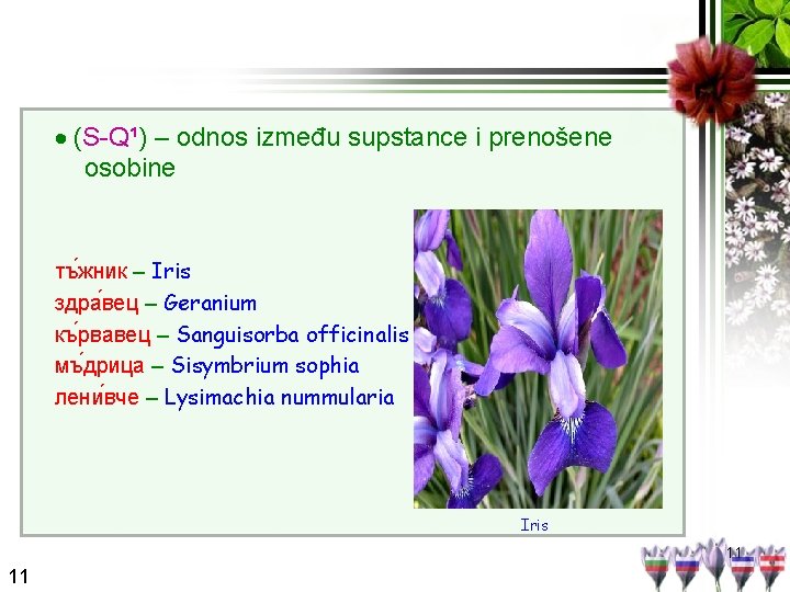  (S-Q¹) – odnos između supstance i prenošene osobine тъ жник – Iris здра