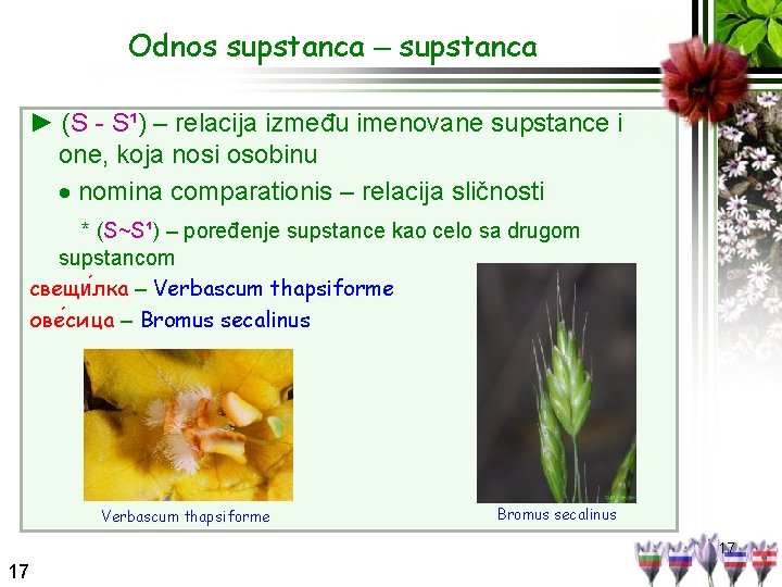 Odnos supstanca – supstanca ► (S - S¹) – relacija između imenovane supstance i