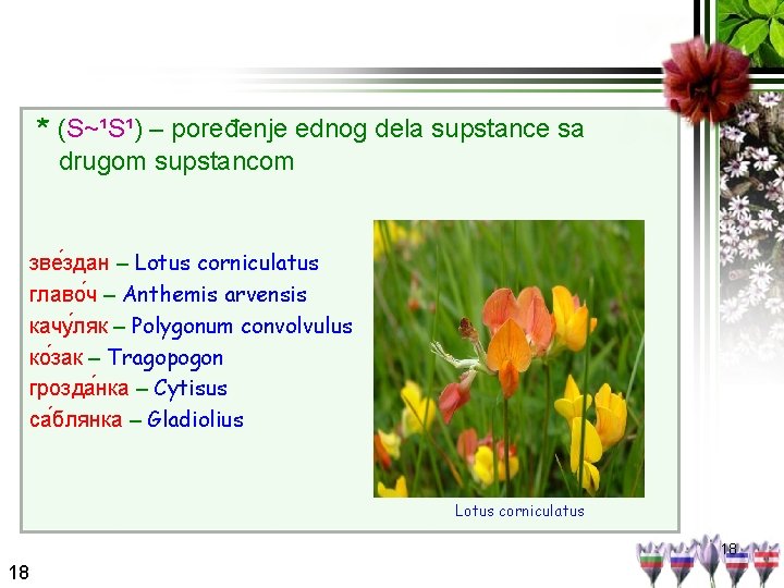 * (S~¹S¹) – poređenje ednog dela supstance sa drugom supstancom зве здан – Lotus