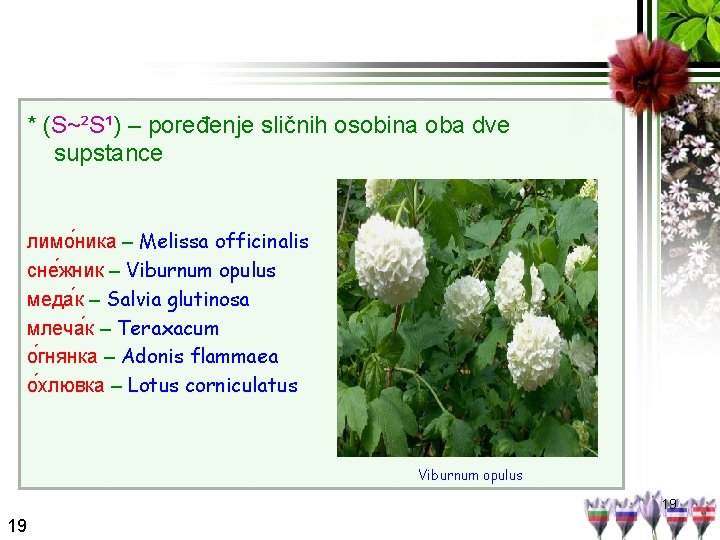 * (S~²S¹) – poređenje sličnih osobina oba dve supstance лимо ника – Melissa officinalis