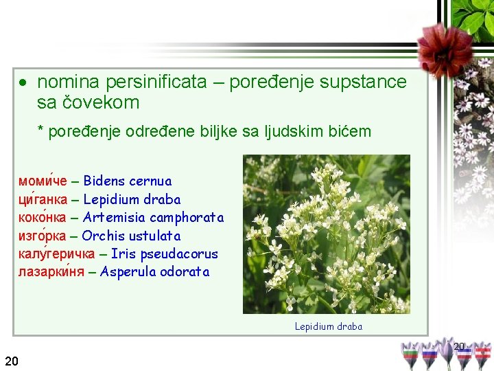  nomina persinificata – poređenje supstance sa čovekom * poređenje određene biljke sa ljudskim