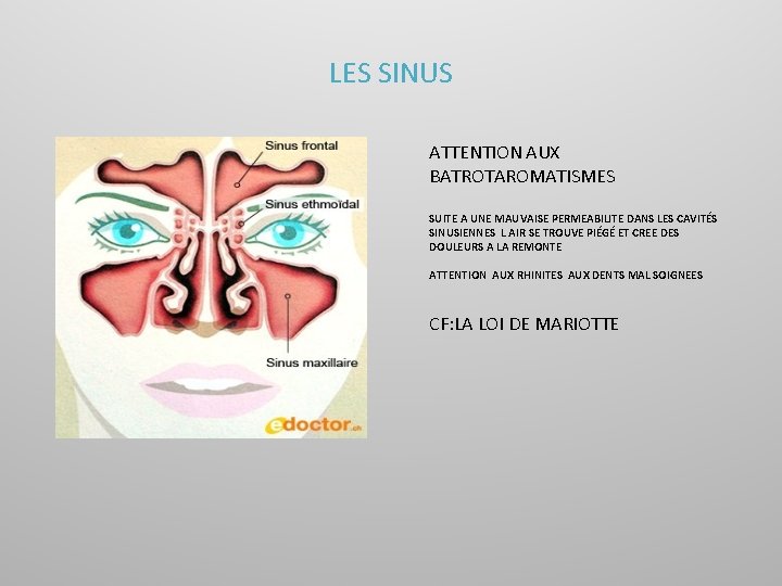 LES SINUS ATTENTION AUX BATROTAROMATISMES SUITE A UNE MAUVAISE PERMEABILITE DANS LES CAVITÉS SINUSIENNES