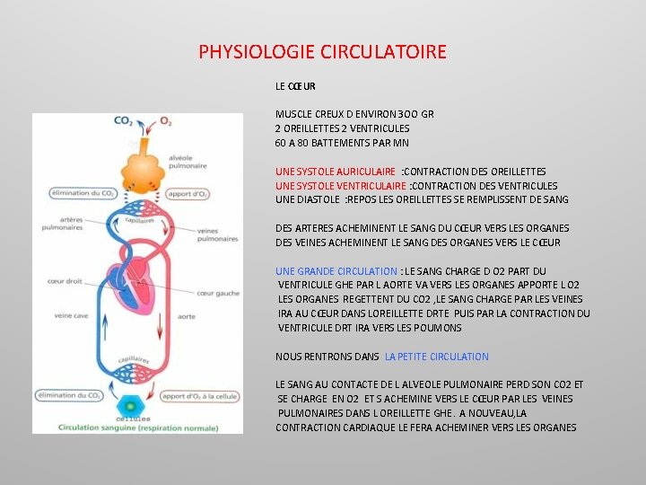 PHYSIOLOGIE CIRCULATOIRE LE CŒUR MUSCLE CREUX D ENVIRON 3 OO GR 2 OREILLETTES 2