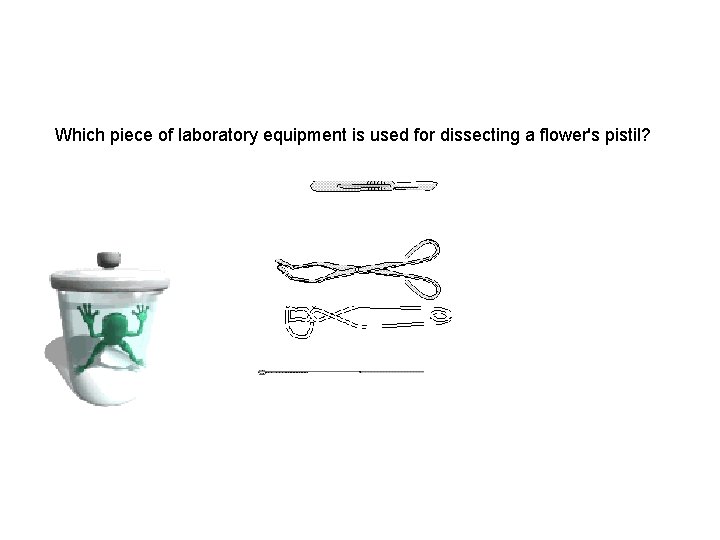 Which piece of laboratory equipment is used for dissecting a flower's pistil? 