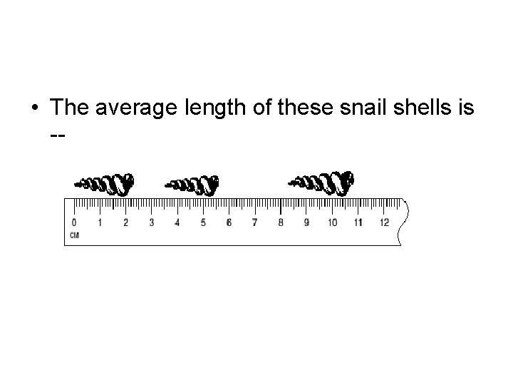  • The average length of these snail shells is -- 