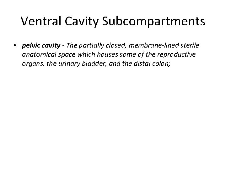 Ventral Cavity Subcompartments • pelvic cavity - The partially closed, membrane-lined sterile anatomical space Ventral Cavity Subcompartments • pelvic cavity - The partially closed, membrane-lined sterile anatomical space