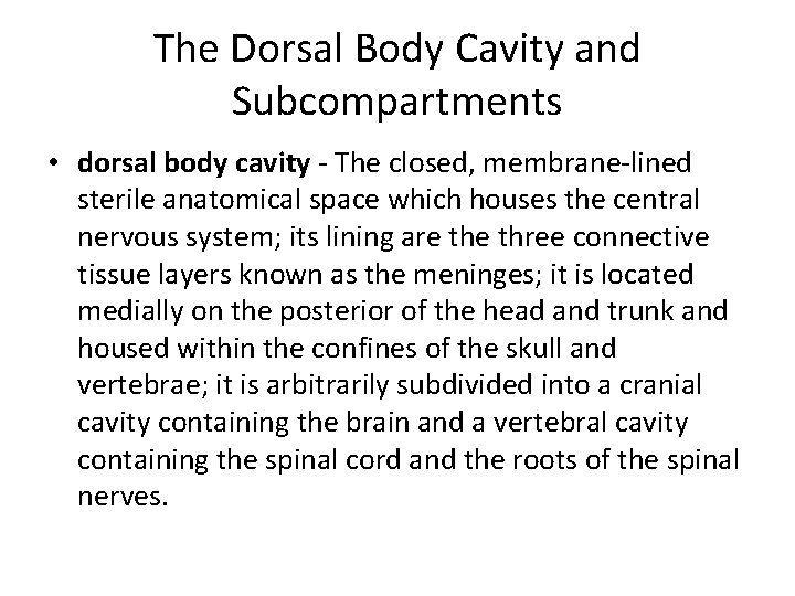 The Dorsal Body Cavity and Subcompartments • dorsal body cavity - The closed, membrane-lined The Dorsal Body Cavity and Subcompartments • dorsal body cavity - The closed, membrane-lined