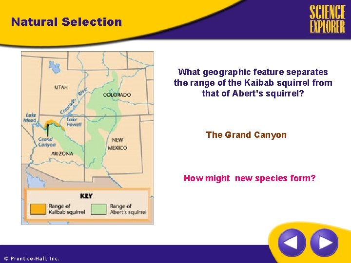 Natural Selection What geographic feature separates the range of the Kaibab squirrel from that