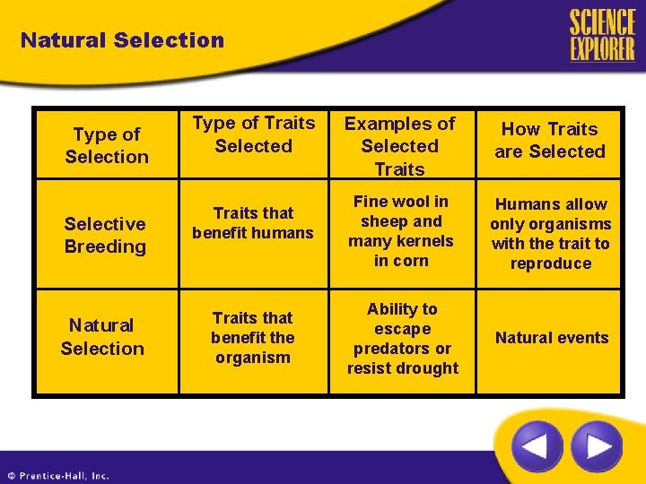 Natural Selection Type of Selection Selective Breeding Natural Selection Type of Traits Selected Traits