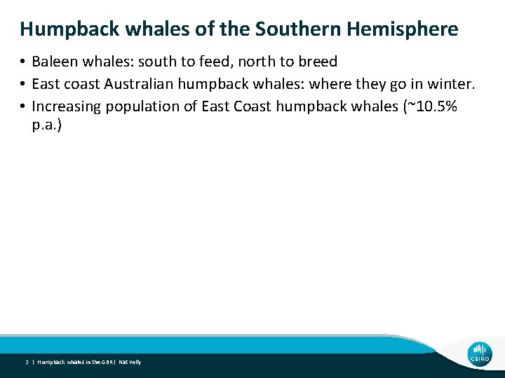 Humpback whales of the Southern Hemisphere • Baleen whales: south to feed, north to