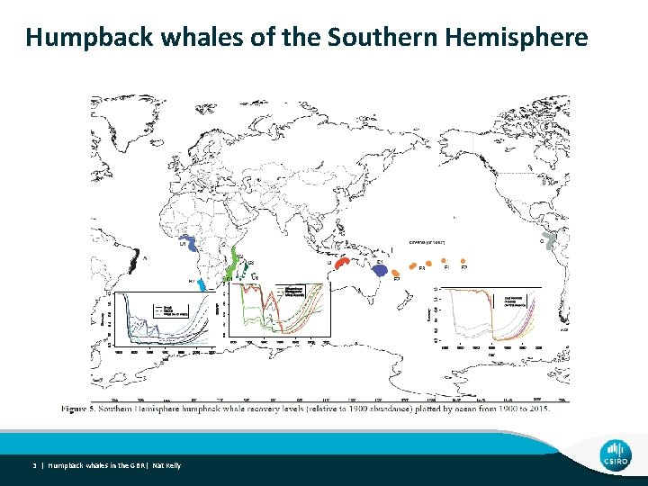 Humpback whales of the Southern Hemisphere 3 | Humpback whales in the GBR| Nat
