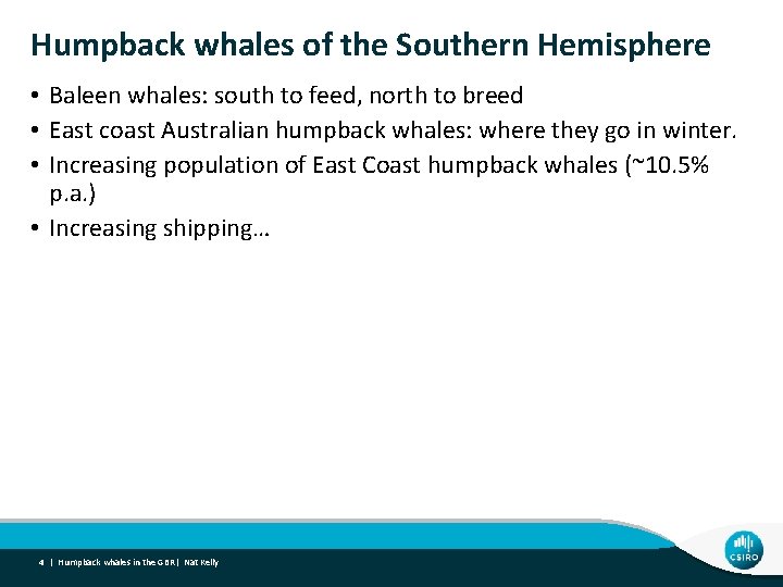 Humpback whales of the Southern Hemisphere • Baleen whales: south to feed, north to