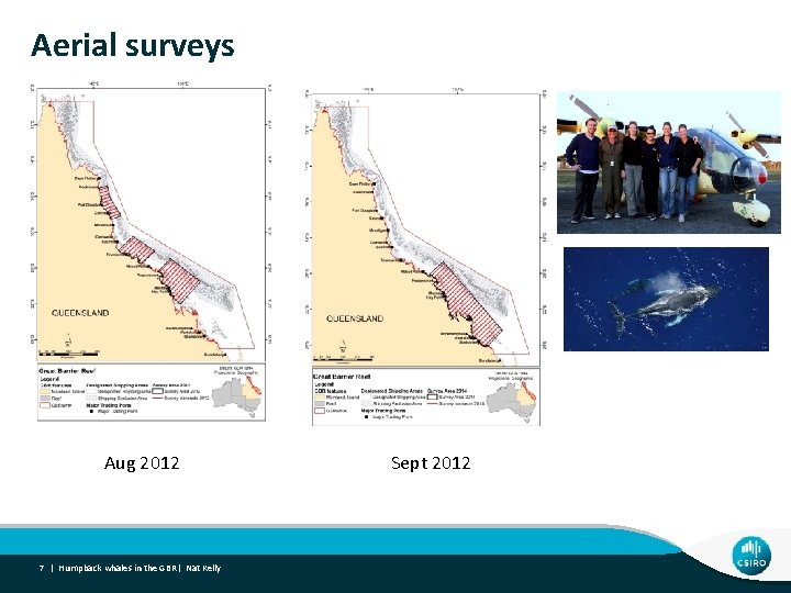 Aerial surveys Aug 2012 7 | Humpback whales in the GBR| Nat Kelly Sept