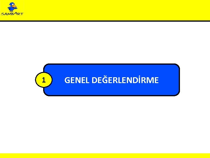 1 GENEL DEĞERLENDİRME 