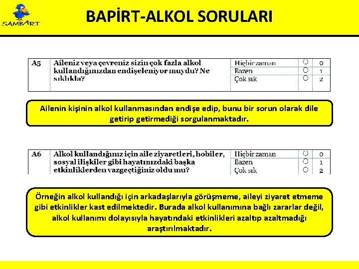 BAPİRT-ALKOL SORULARI Ailenin kişinin alkol kullanmasından endişe edip, bunu bir sorun olarak dile getirip