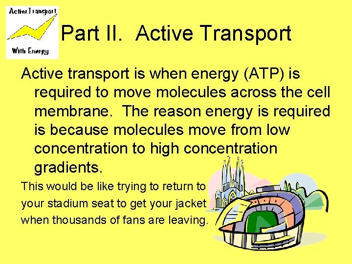 Part II. Active Transport Active transport is when energy (ATP) is required to move