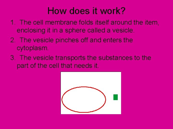 How does it work? 1. The cell membrane folds itself around the item, enclosing