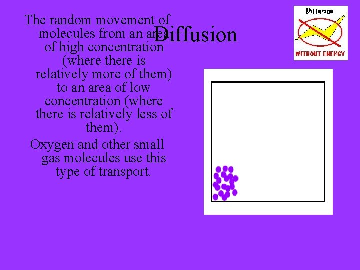 The random movement of molecules from an area Diffusion of high concentration (where there