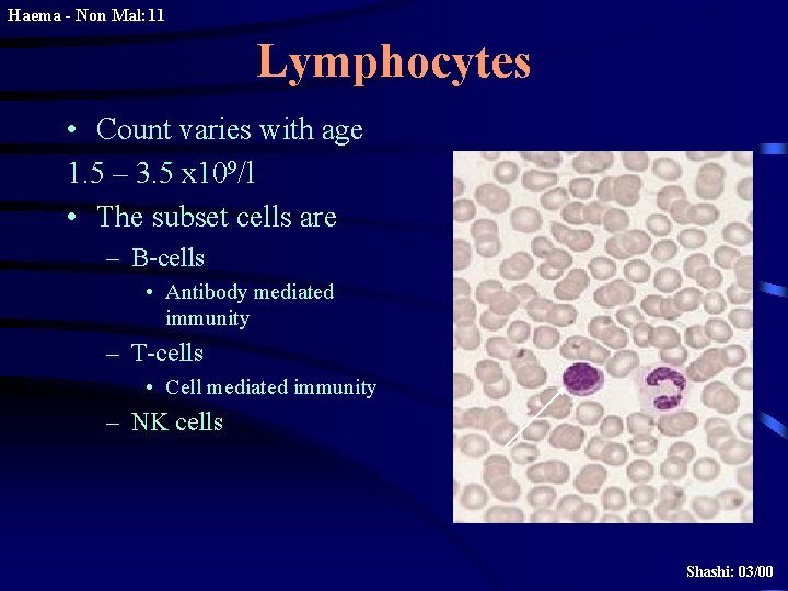 Haema - Non Mal: 11 Lymphocytes • Count varies with age 1. 5 –