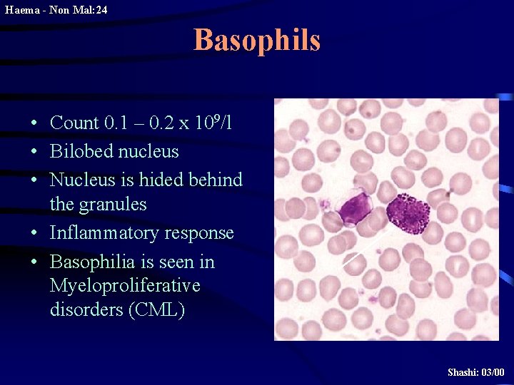 Haema - Non Mal: 24 Basophils • Count 0. 1 – 0. 2 x