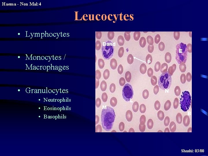 Haema - Non Mal: 4 Leucocytes • Lymphocytes Band E • Monocytes / Macrophages