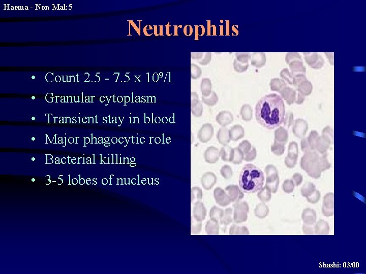 Haema - Non Mal: 5 Neutrophils • • • Count 2. 5 - 7.