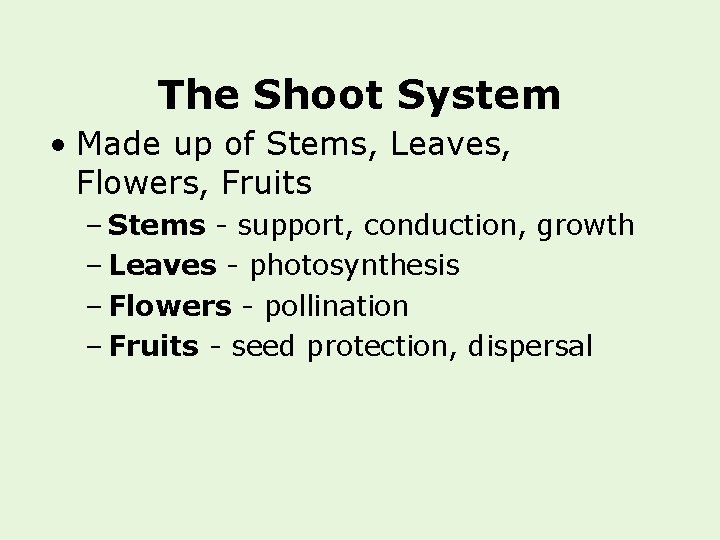 The Shoot System • Made up of Stems, Leaves, Flowers, Fruits – Stems -