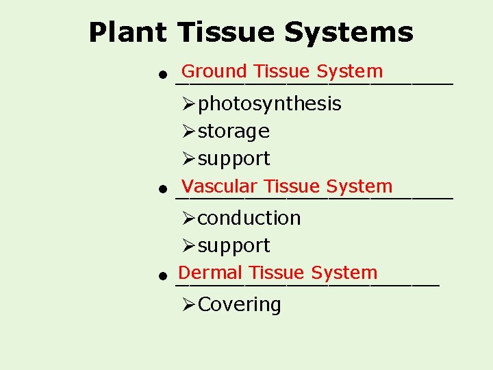 Plant Tissue Systems Ground Tissue System • __________ Øphotosynthesis Østorage Øsupport Vascular Tissue System