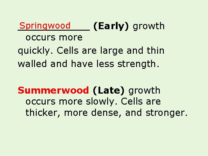 Springwood ______ (Early) growth occurs more quickly. Cells are large and thin walled and