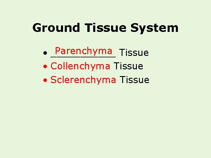 Ground Tissue System Parenchyma Tissue • ______ • Collenchyma Tissue • Sclerenchyma Tissue 