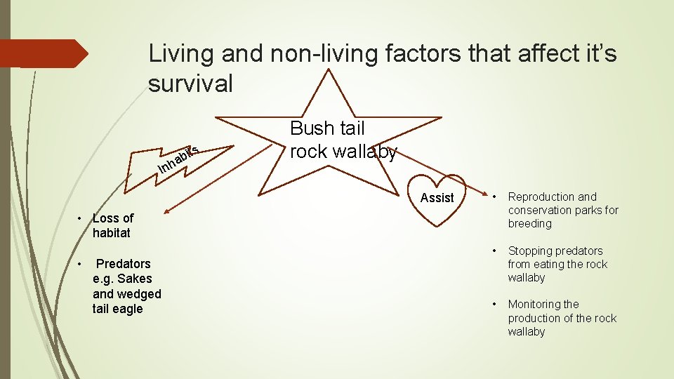 Living and non-living factors that affect it’s survival b ha In its Bush tail