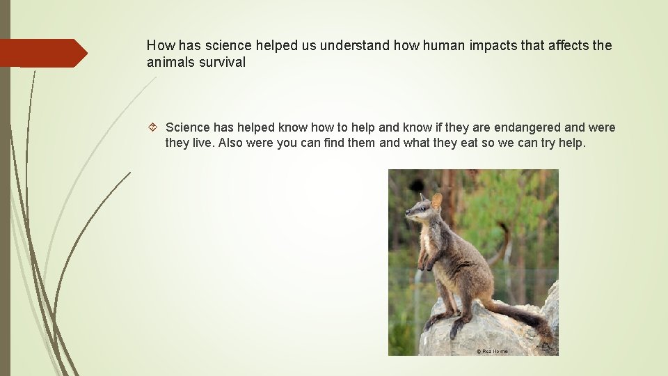 How has science helped us understand how human impacts that affects the animals survival