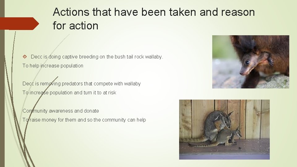 Actions that have been taken and reason for action Decc is doing captive breeding