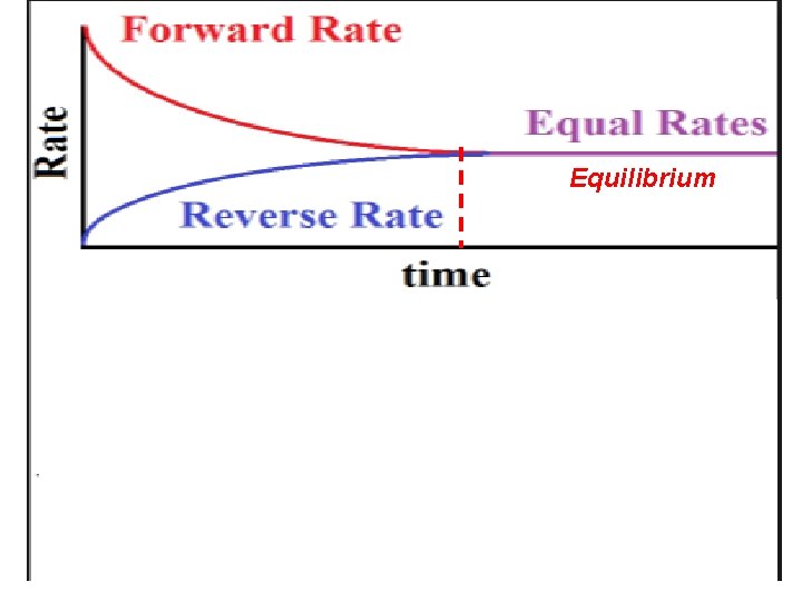 Equilibrium 