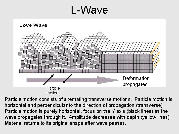 L-Wave Particle motion Deformation propagates Particle motion consists of alternating transverse motions. Particle motion