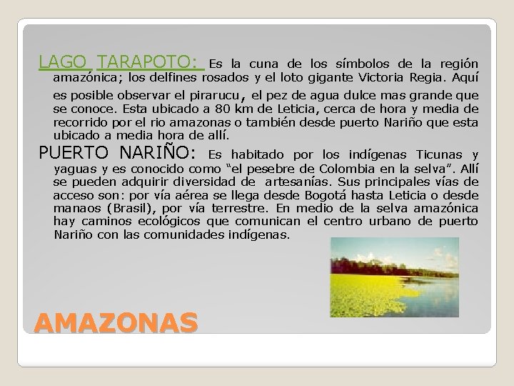 LAGO TARAPOTO: Es la cuna de los símbolos de la región amazónica; los delfines