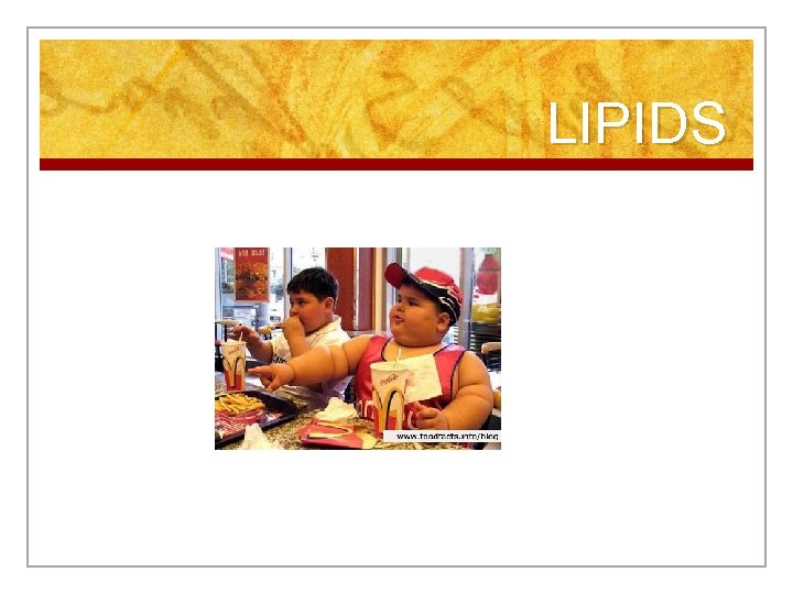 LIPIDS 