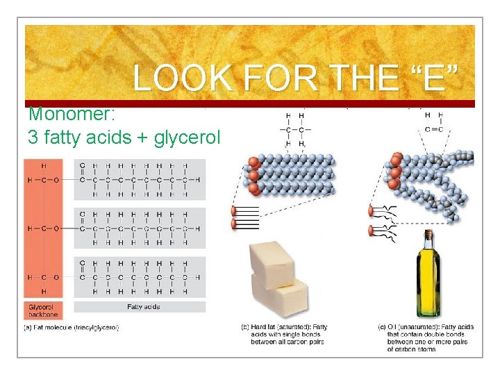 LOOK FOR THE “E” Monomer: 3 fatty acids + glycerol 