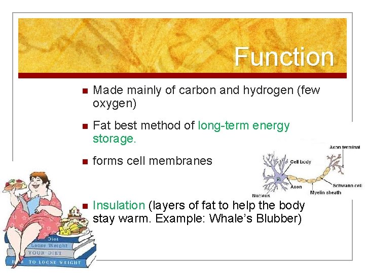 Function n Made mainly of carbon and hydrogen (few oxygen) n Fat best method
