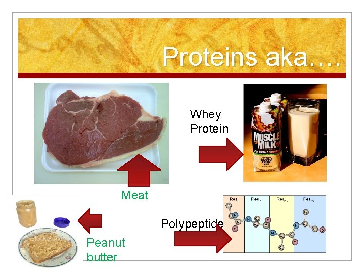 Proteins aka…. Whey Protein Meat Polypeptide Peanut butter 