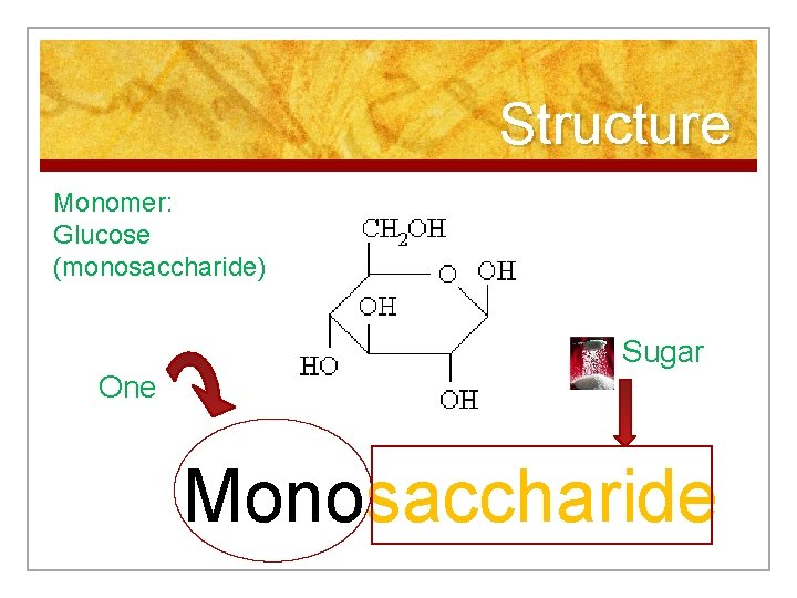 Structure Monomer: Glucose (monosaccharide) Sugar One Monosaccharide 