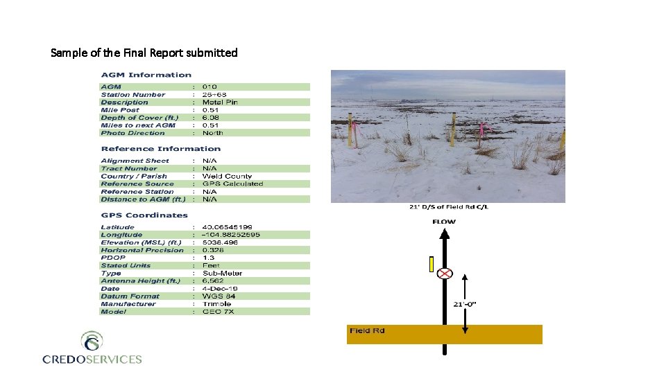 Sample of the Final Report submitted 