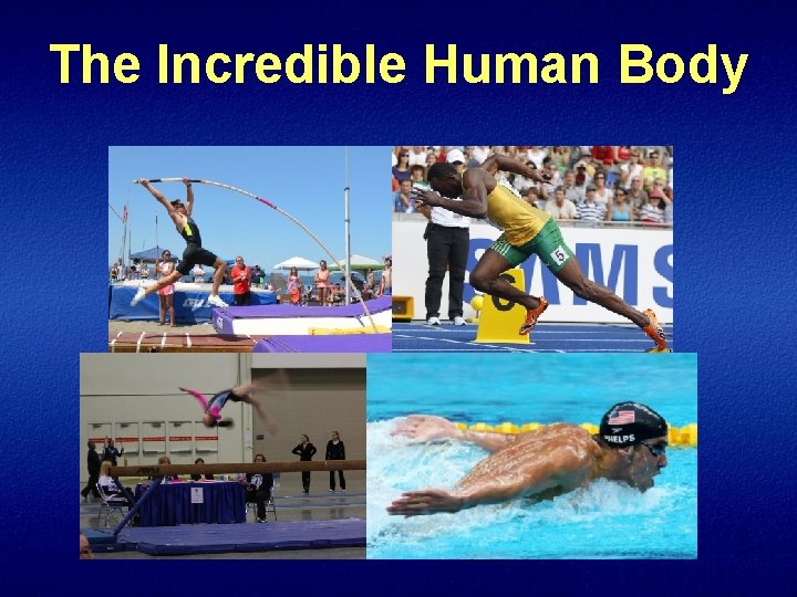 The Incredible Human Body 