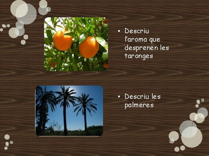 • Descriu l’aroma que desprenen les taronges • Descriu les palmeres • Descriu l’aroma que desprenen les taronges • Descriu les palmeres