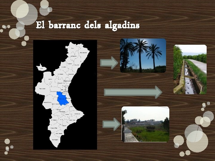 El barranc dels algadins El barranc dels algadins