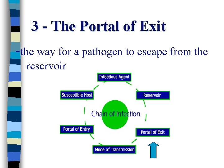 3 - The Portal of Exit -the way for a pathogen to escape from