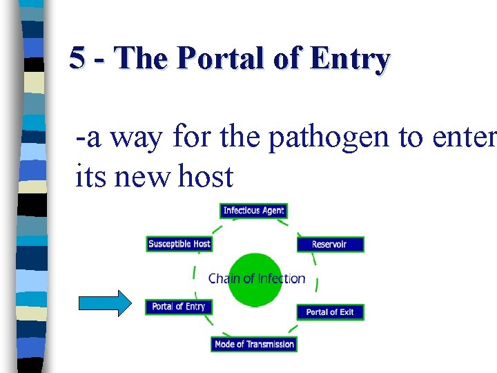 5 - The Portal of Entry -a way for the pathogen to enter its