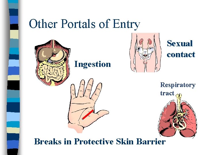 Other Portals of Entry Sexual contact Ingestion Respiratory tract Breaks in Protective Skin Barrier