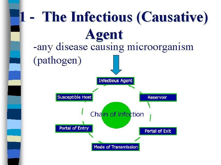 1 - The Infectious (Causative) Agent -any disease causing microorganism (pathogen) 